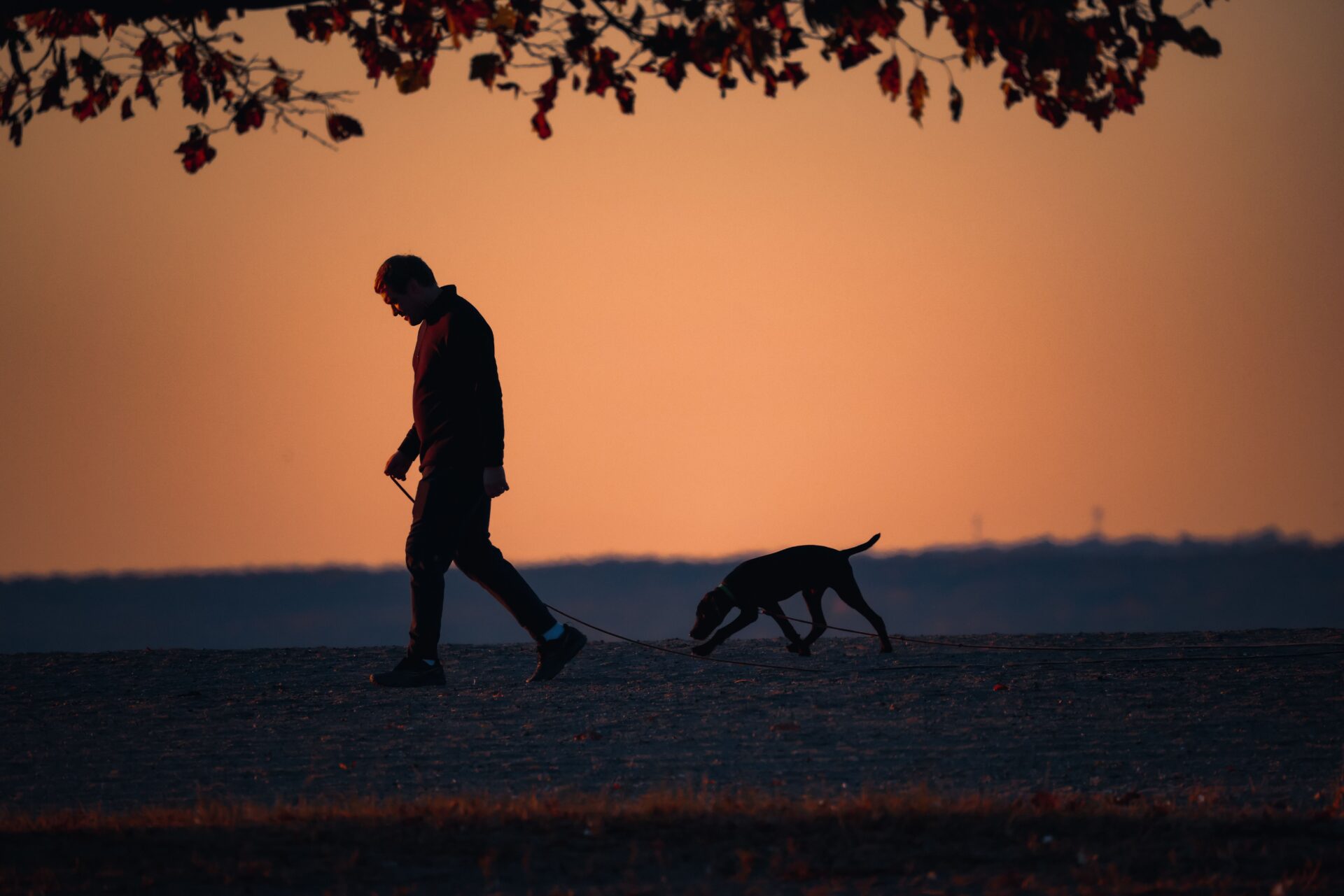 Benefits of Morning Walk